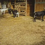 El Molí Blanc Prázdninový dům Lavid